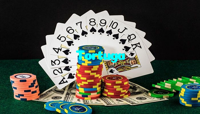Tortuga casino presented on mobile device in Pakistan with slots and live games